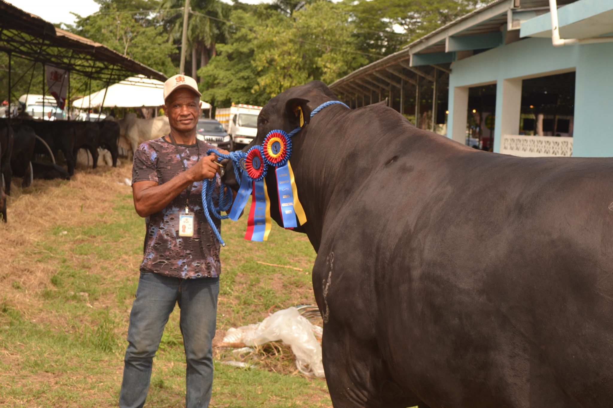 Photos Denbigh Agricultural Industrial and Food Show